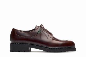 Chaussure Derby Paraboot Avignon Homme Marron Noir | PHX1043LM